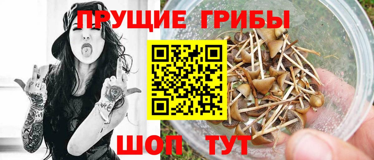 Галлюциногенные грибы ЛСД Мичуринск