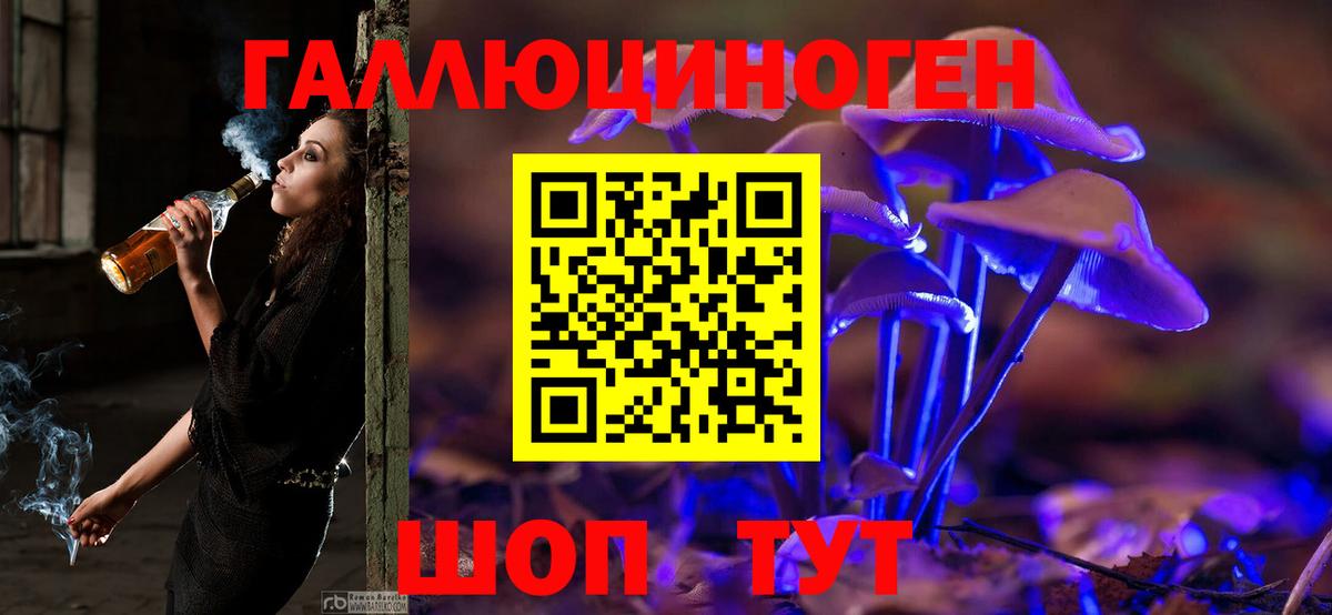 Галлюциногенные грибы Psilocybe  Вход с VPN  Мичуринск 